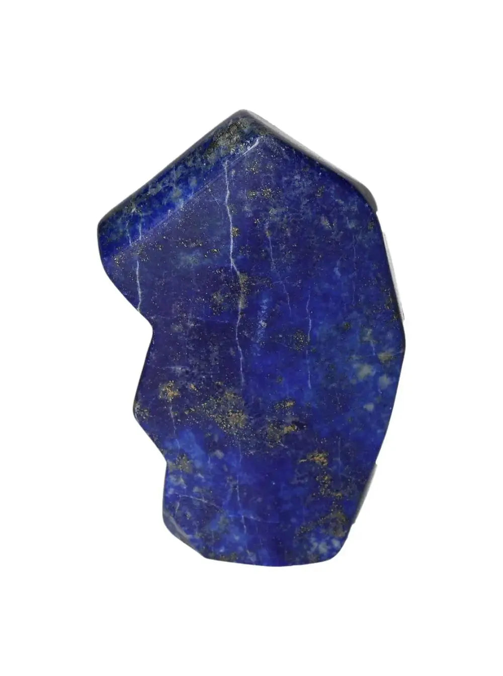 orbitvu|type:image2d