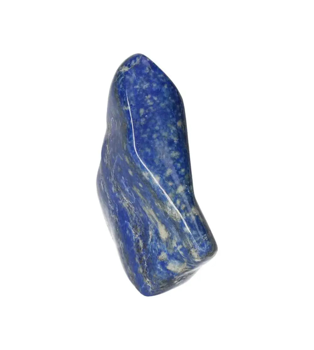 orbitvu|type:image2d