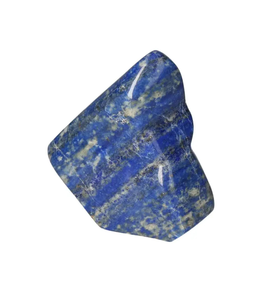 orbitvu|type:image2d