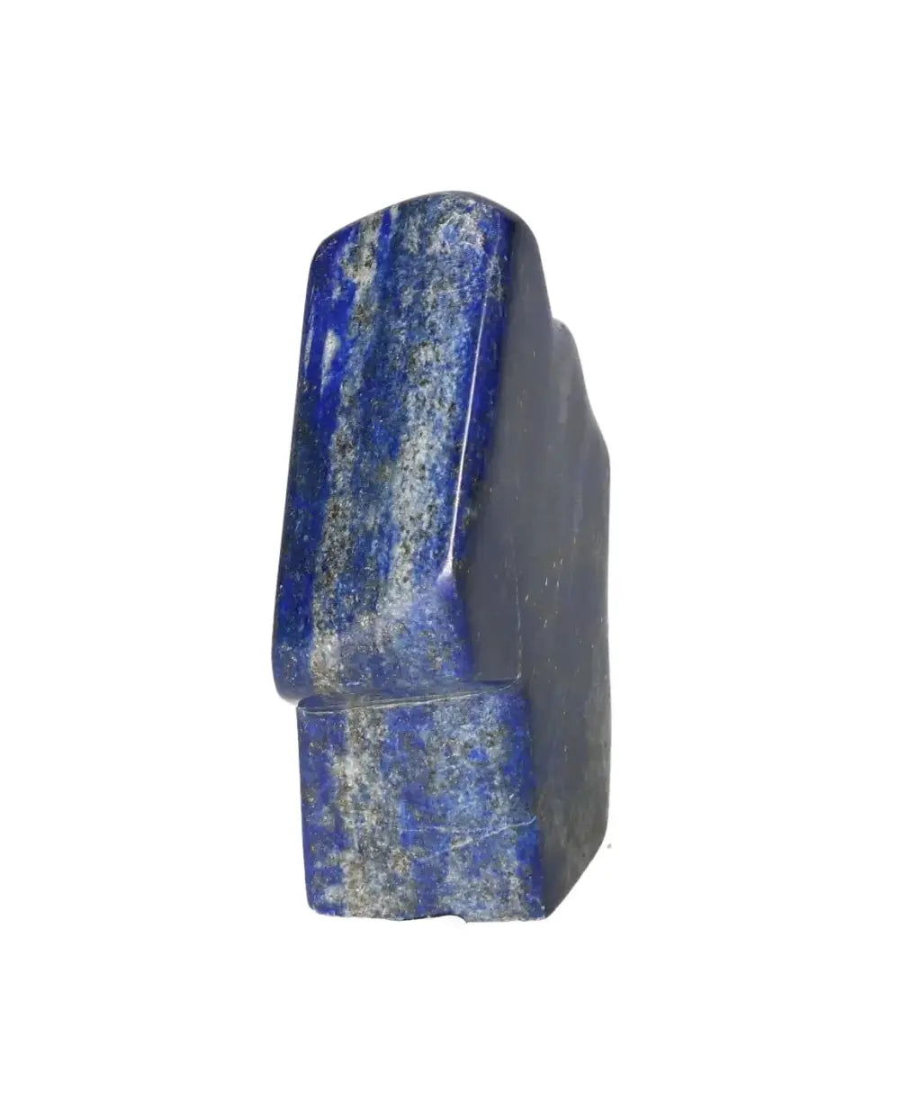 orbitvu|type:image2d