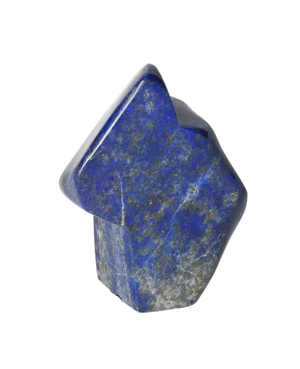 orbitvu|type:image2d