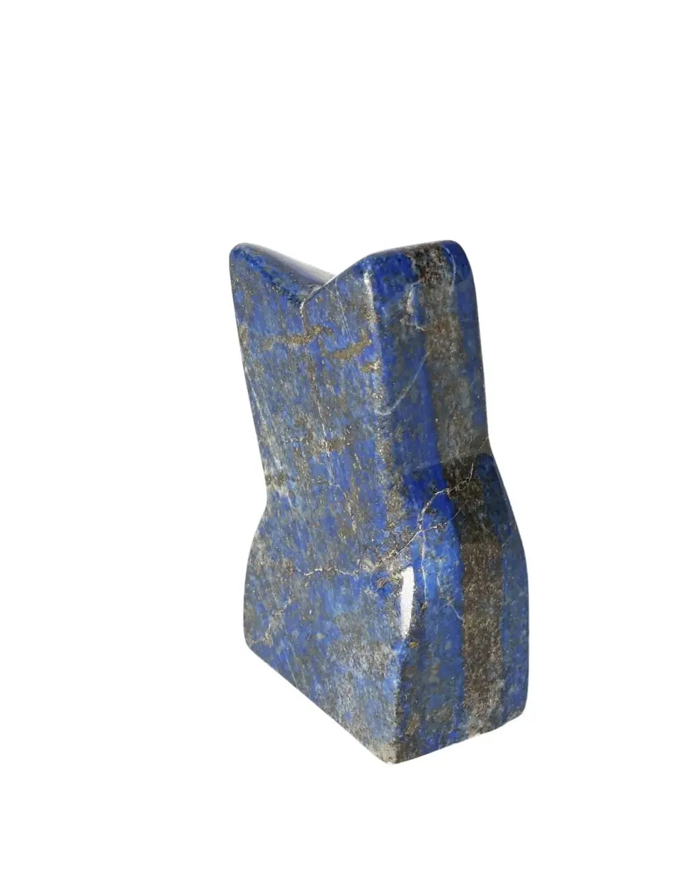 orbitvu|type:image2d