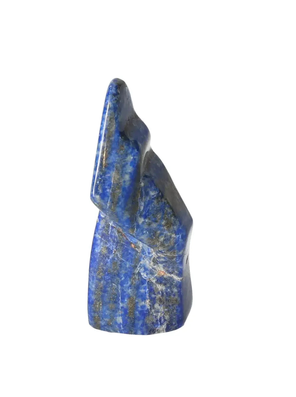 orbitvu|type:image2d