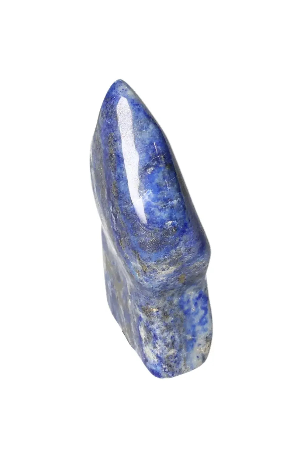 orbitvu|type:image2d