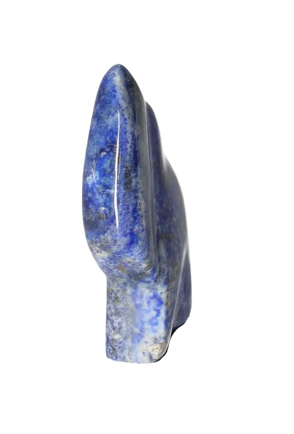 orbitvu|type:image2d