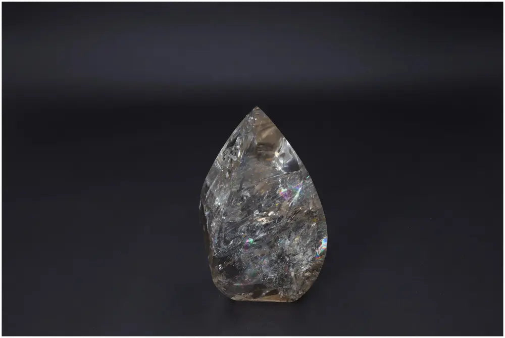 orbitvu|type:image2d