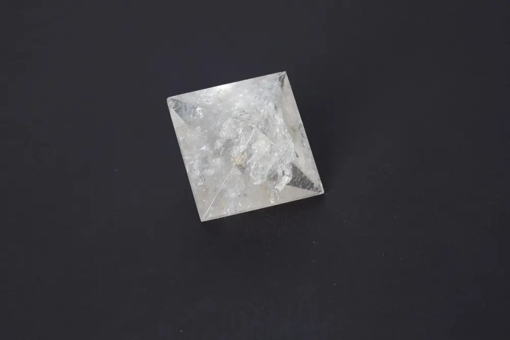 orbitvu|type:image2d