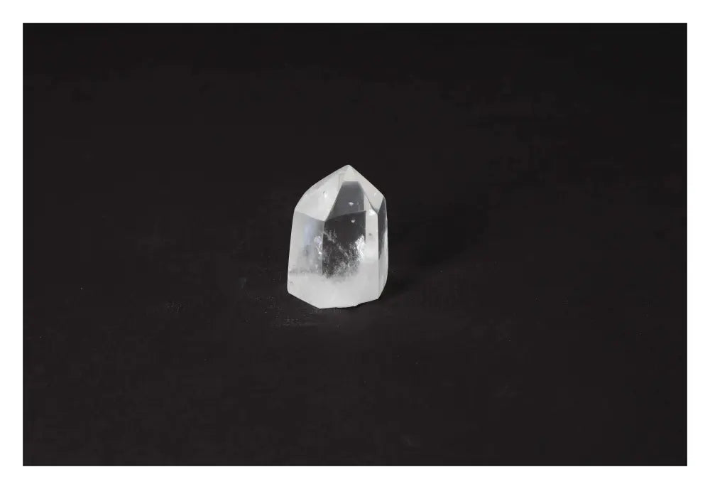 orbitvu|type:image2d