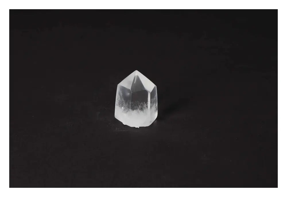 orbitvu|type:image2d