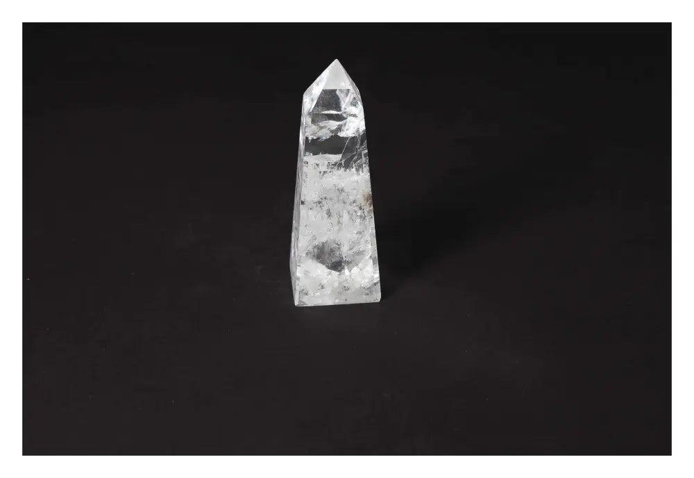 orbitvu|type:image2d