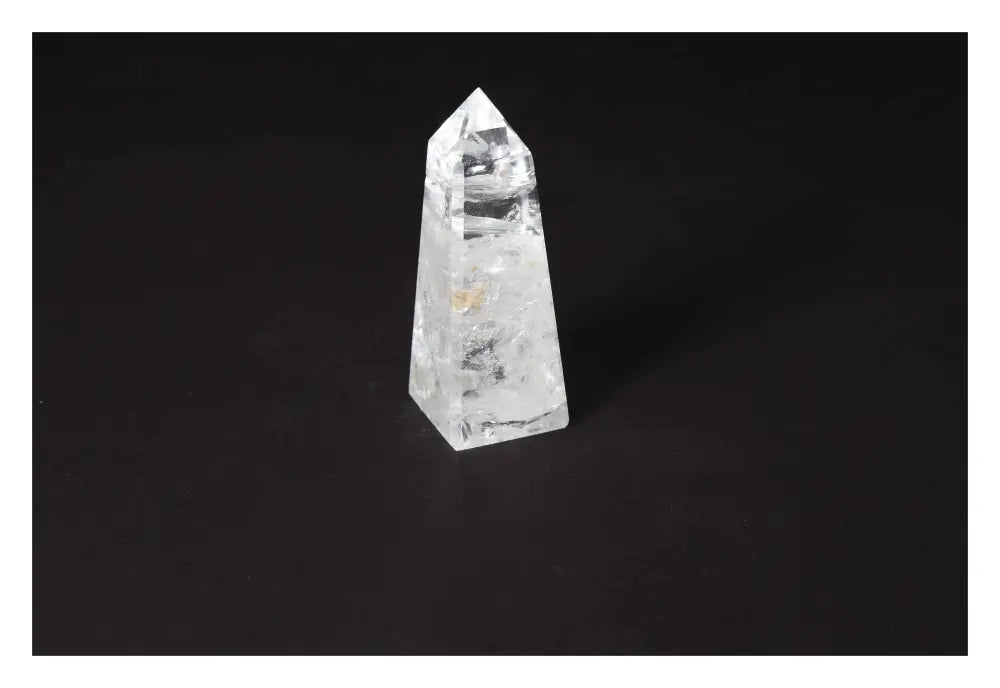 orbitvu|type:image2d