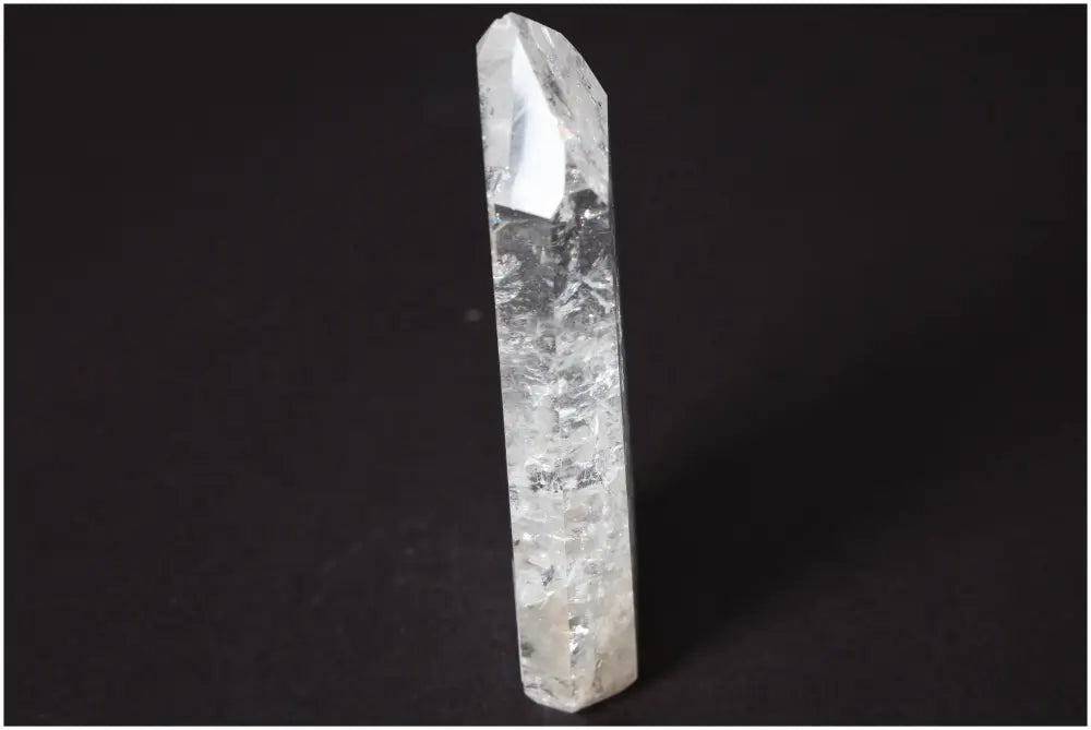 orbitvu|type:image2d