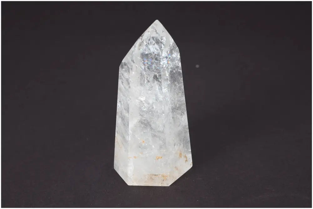 orbitvu|type:image2d