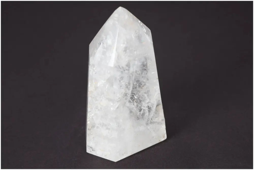 orbitvu|type:image2d