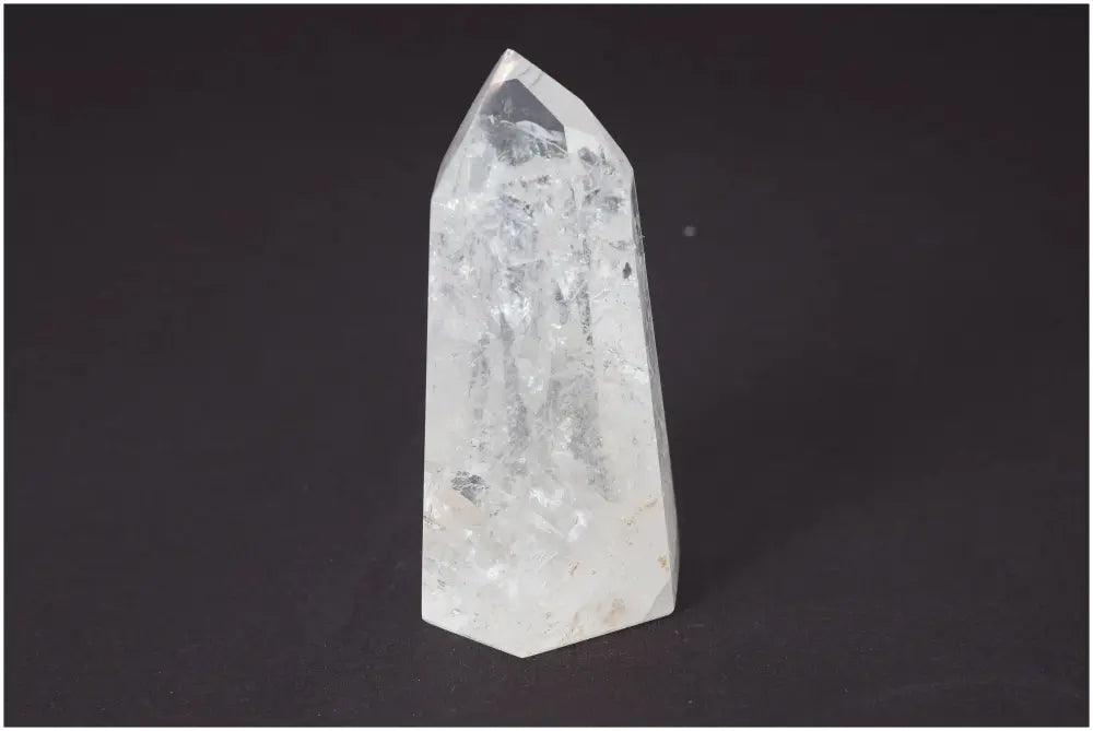 orbitvu|type:image2d