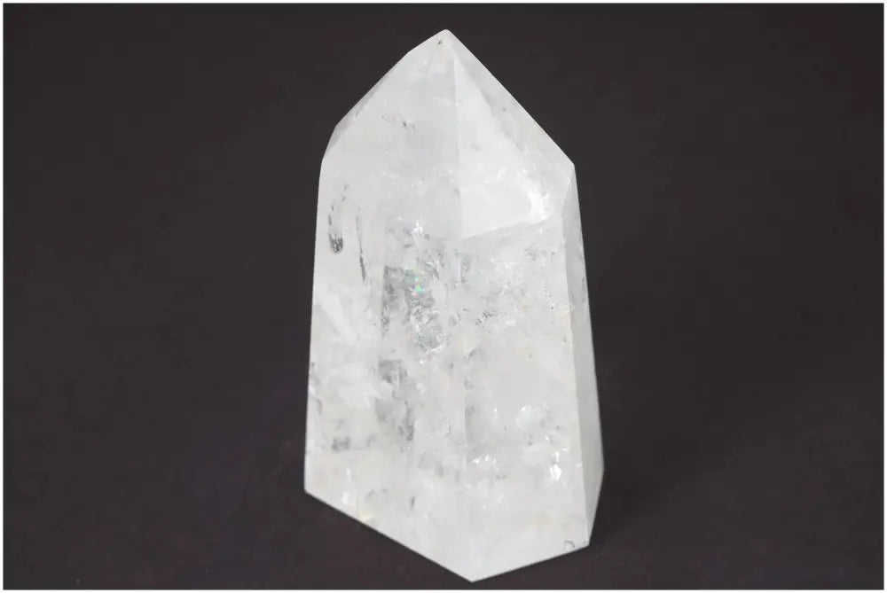 orbitvu|type:image2d