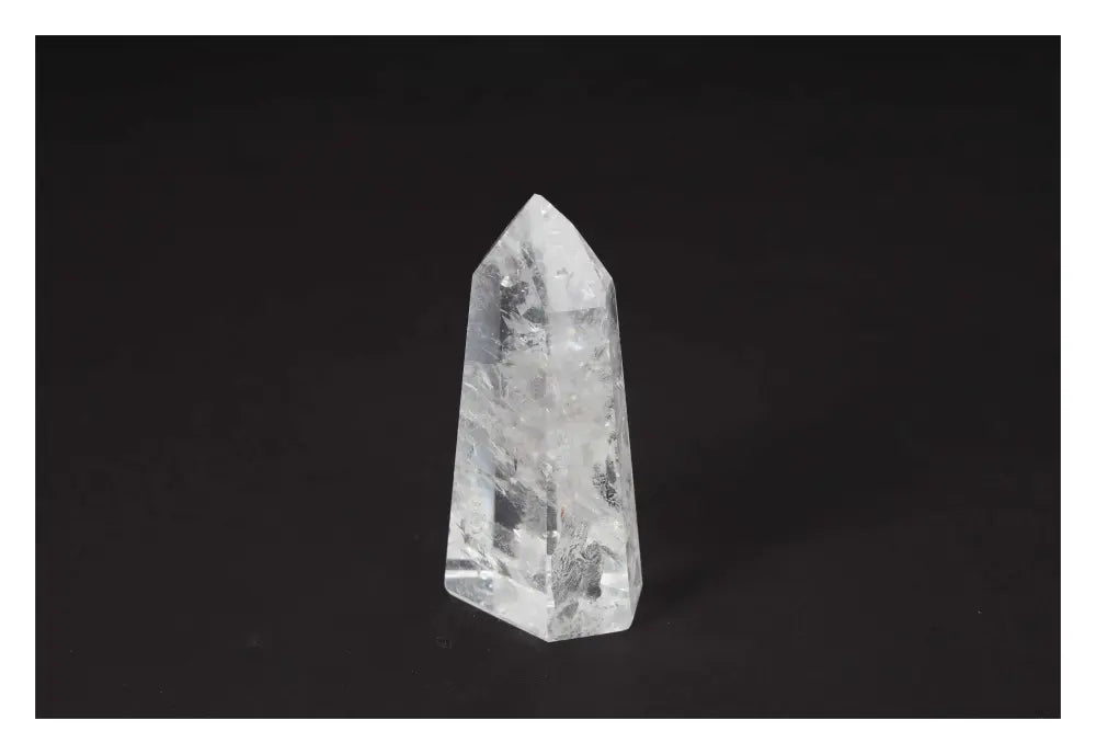 orbitvu|type:image2d