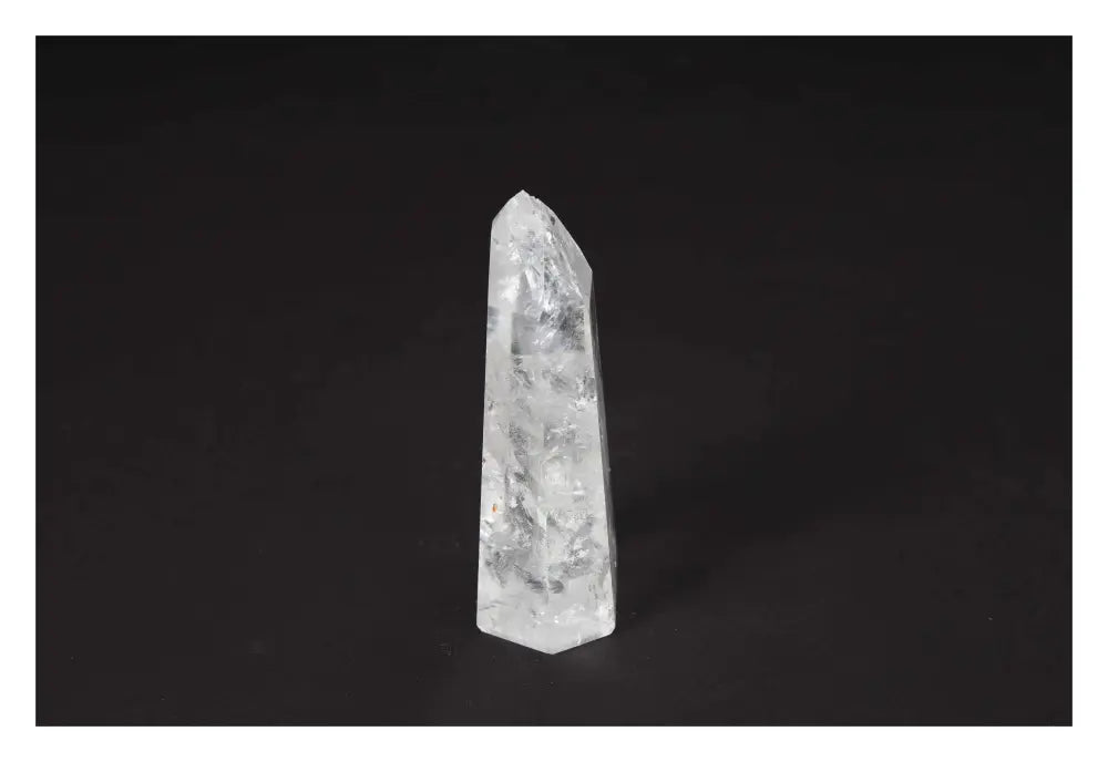 orbitvu|type:image2d