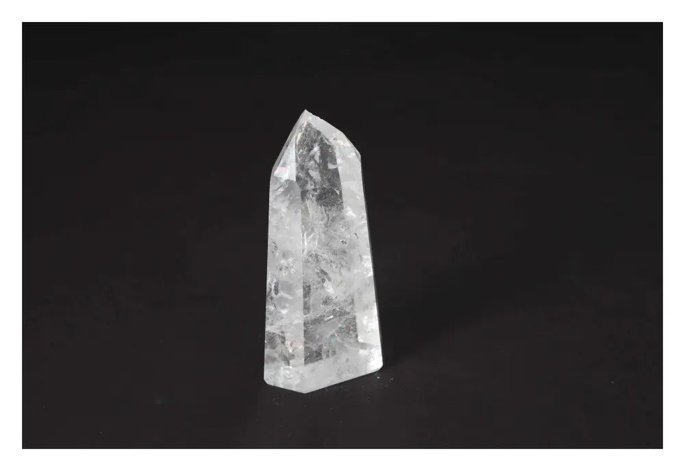 orbitvu|type:image2d