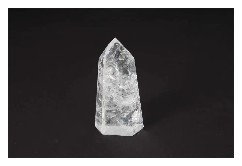 orbitvu|type:image2d