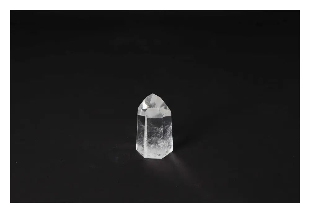 orbitvu|type:image2d