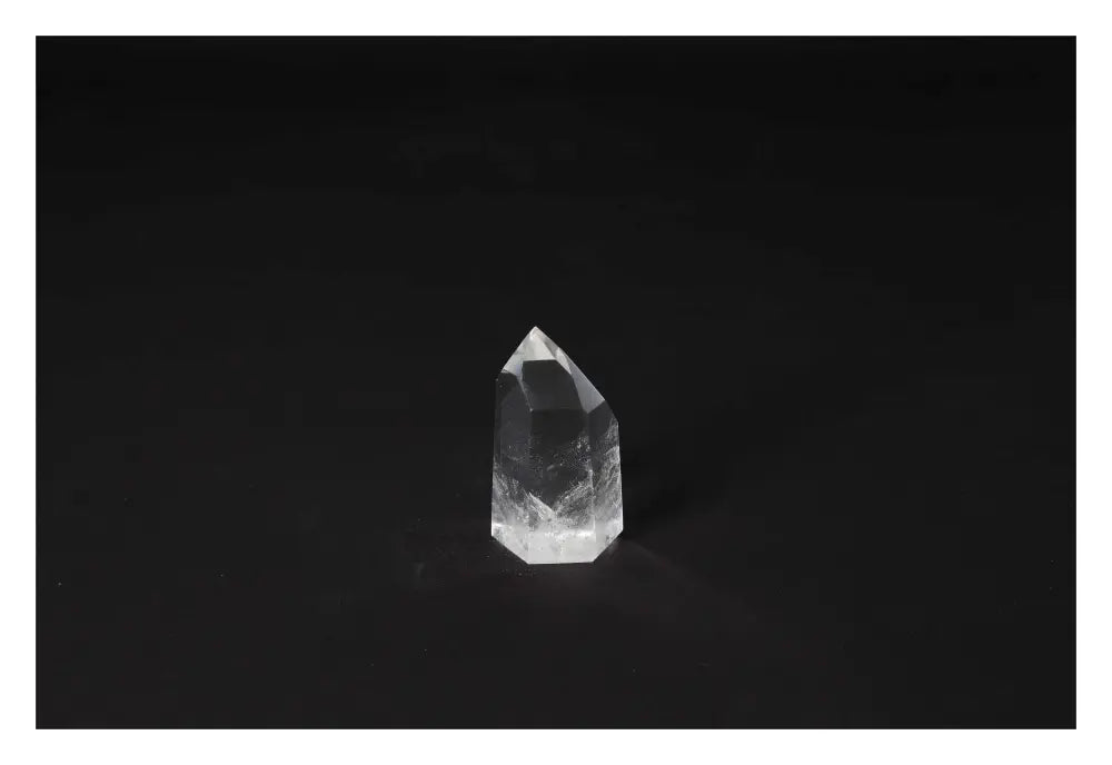 orbitvu|type:image2d