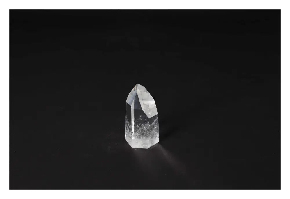 orbitvu|type:image2d