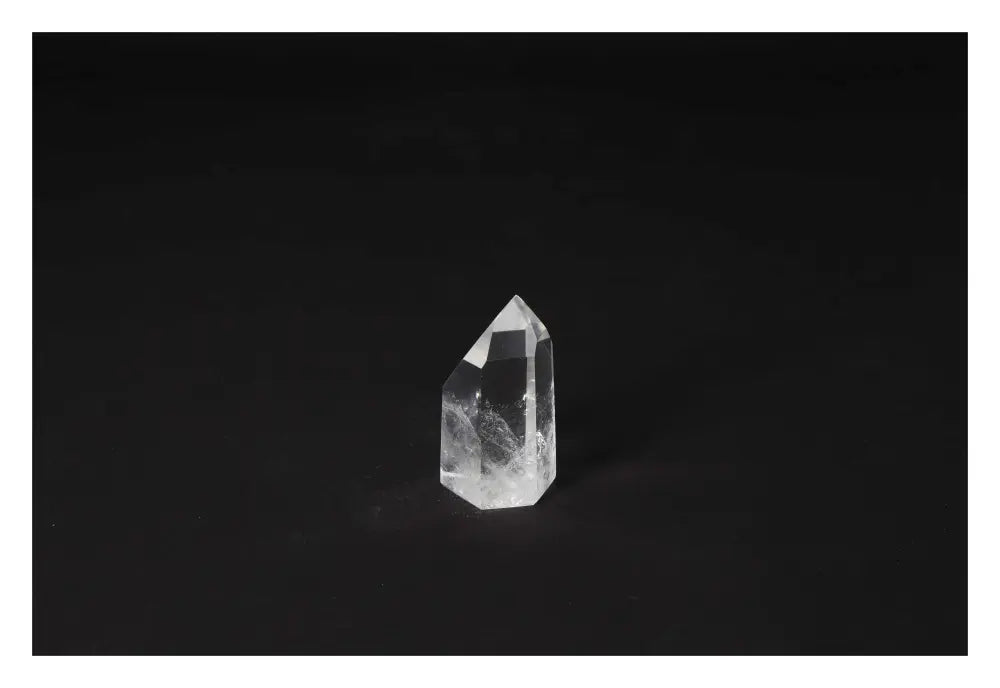 orbitvu|type:image2d