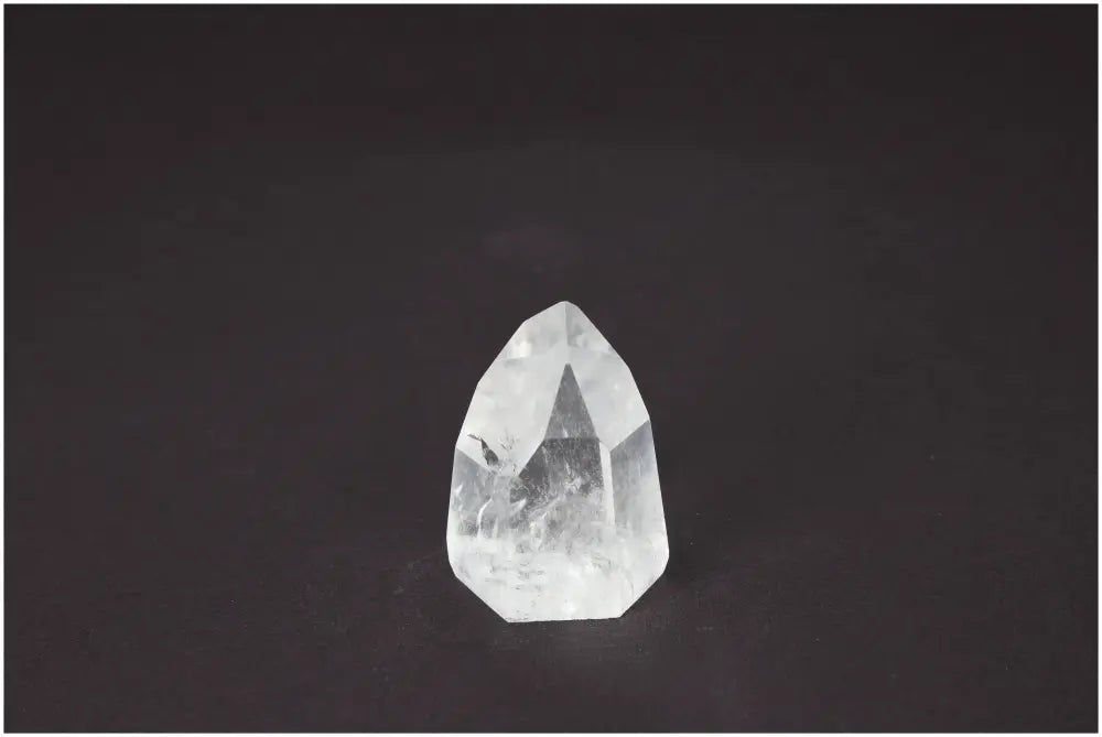 orbitvu|type:image2d