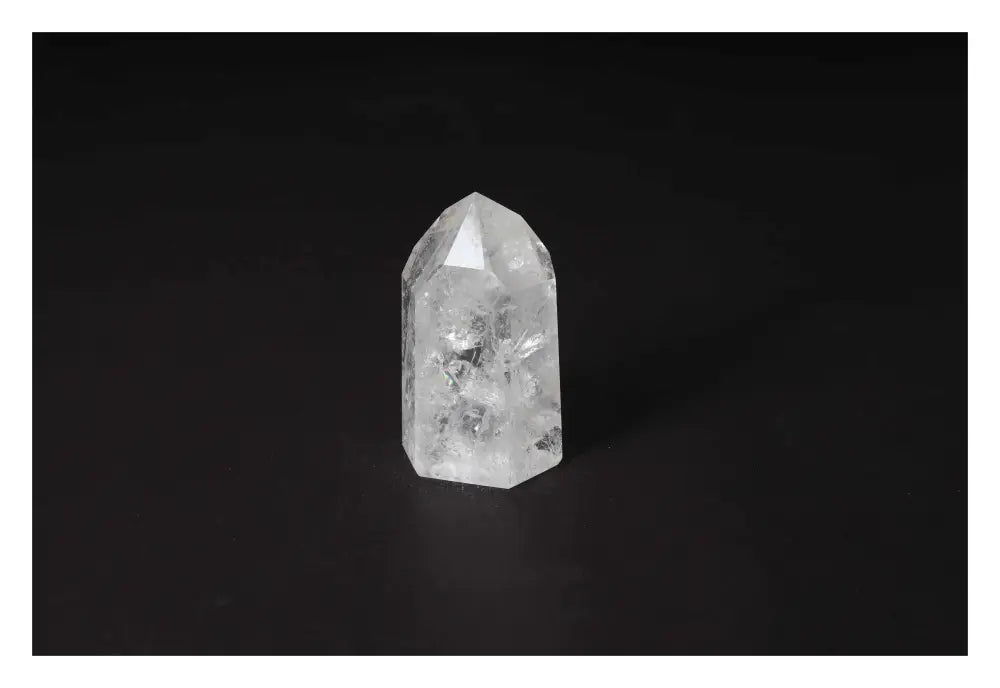 orbitvu|type:image2d