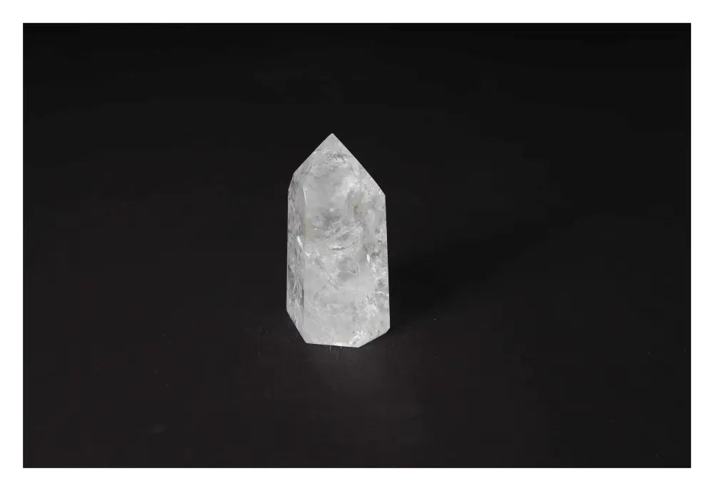 orbitvu|type:image2d