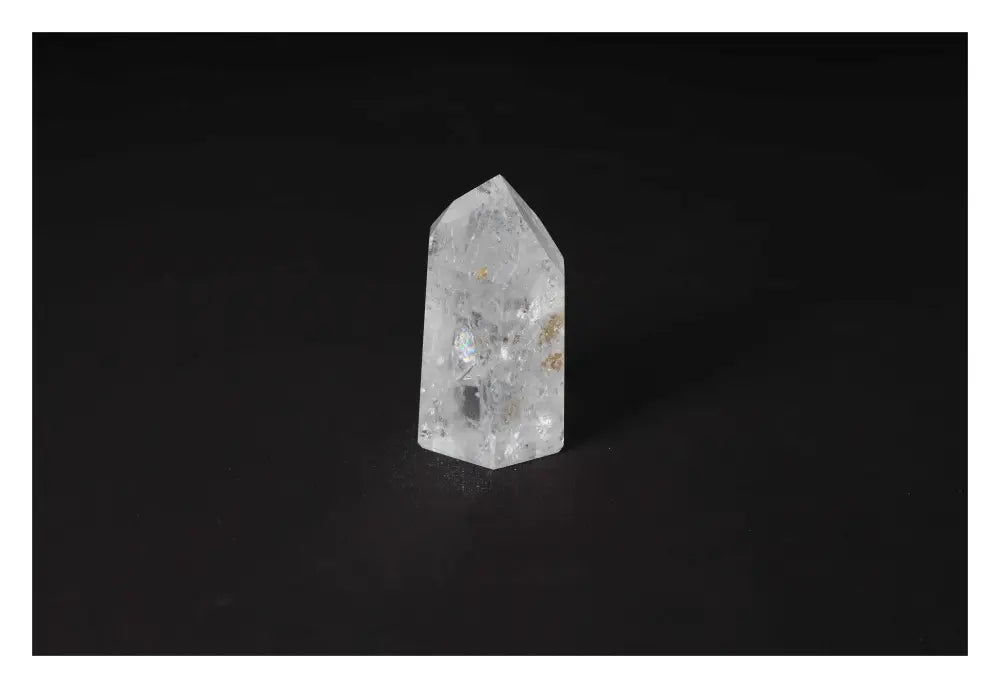 orbitvu|type:image2d