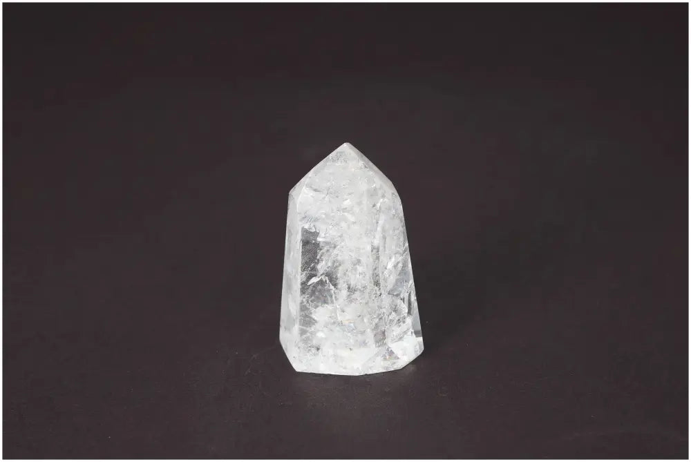 orbitvu|type:image2d