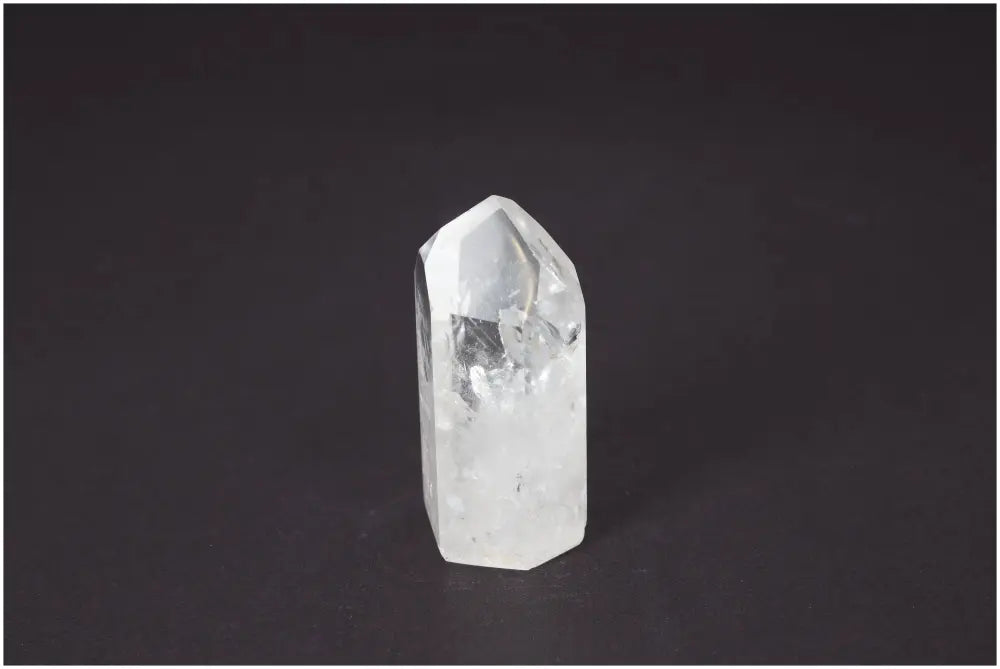 orbitvu|type:image2d