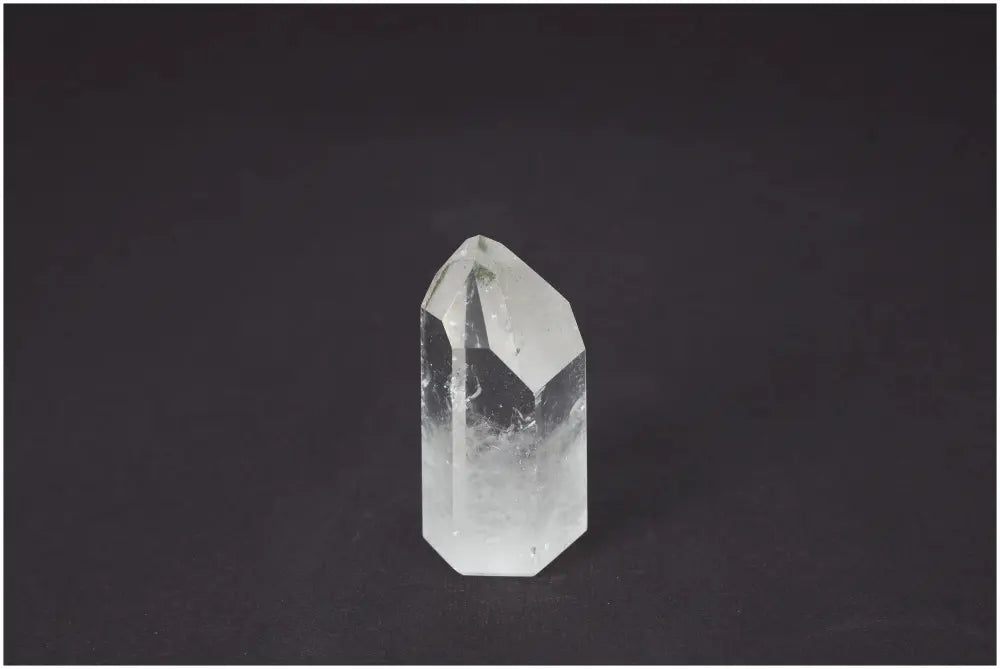 orbitvu|type:image2d