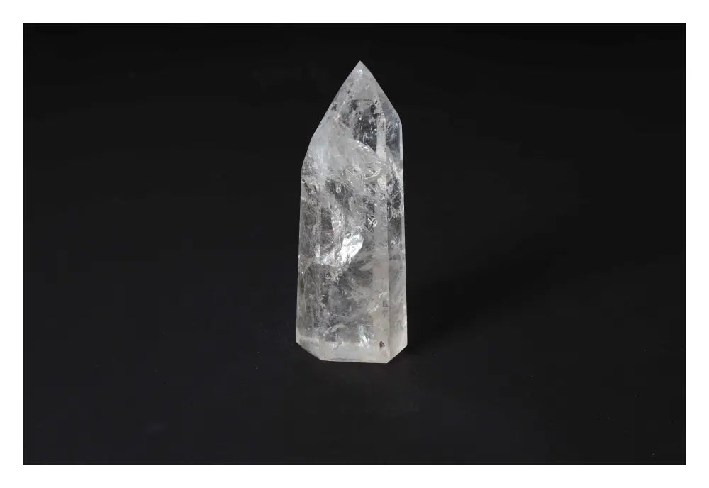 orbitvu|type:image2d