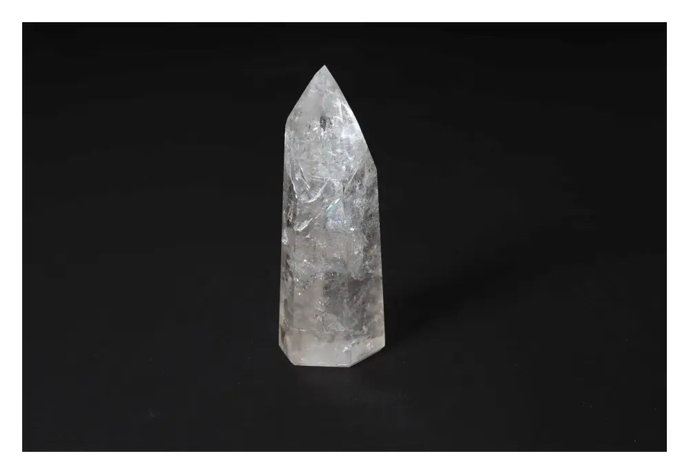 orbitvu|type:image2d