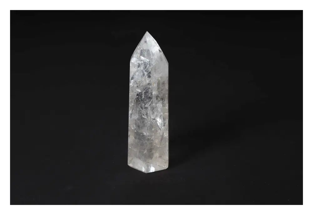 orbitvu|type:image2d