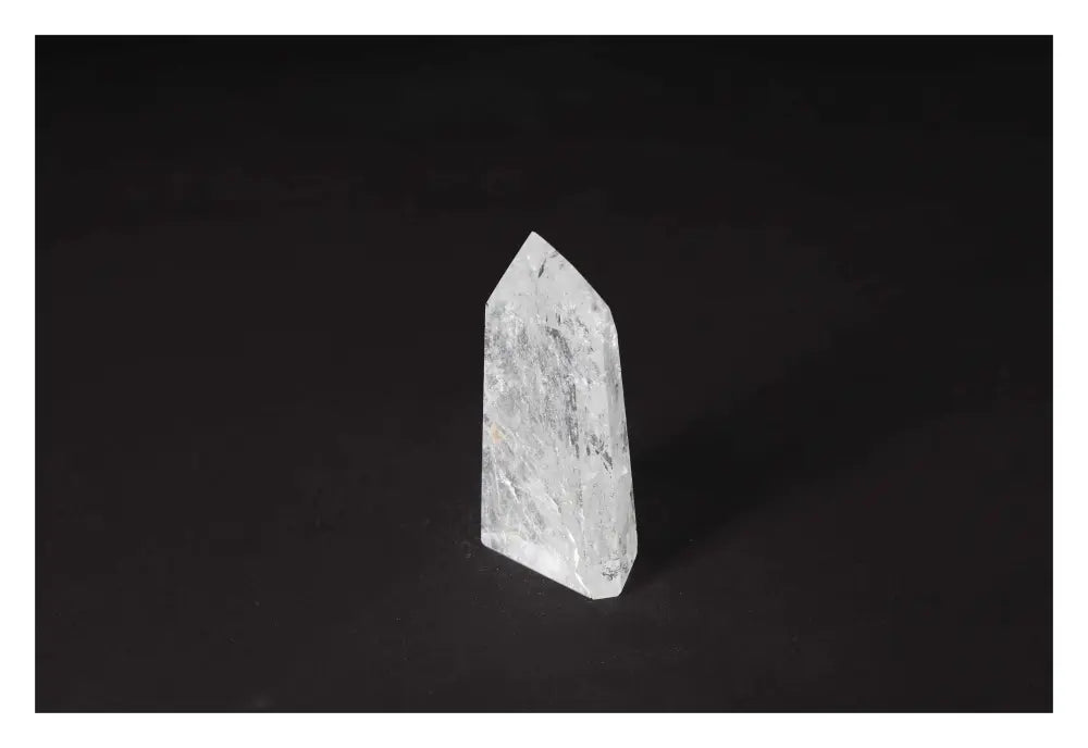 orbitvu|type:image2d