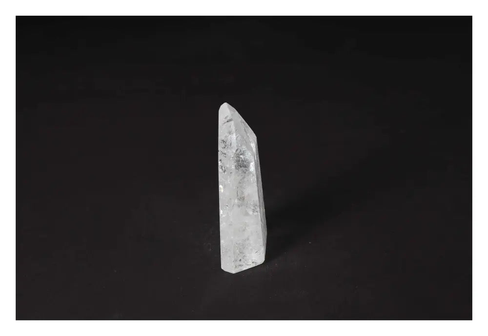 orbitvu|type:image2d