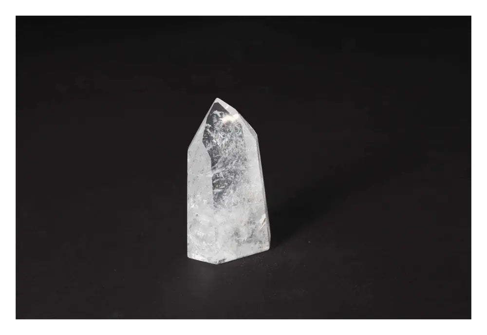 orbitvu|type:image2d