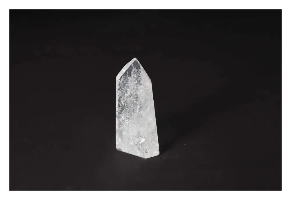 orbitvu|type:image2d