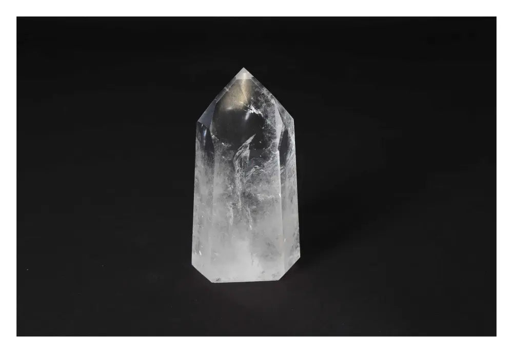 orbitvu|type:image2d