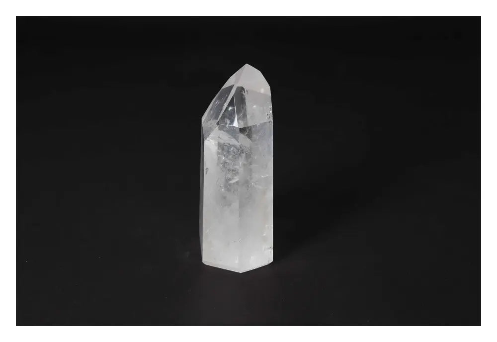 orbitvu|type:image2d