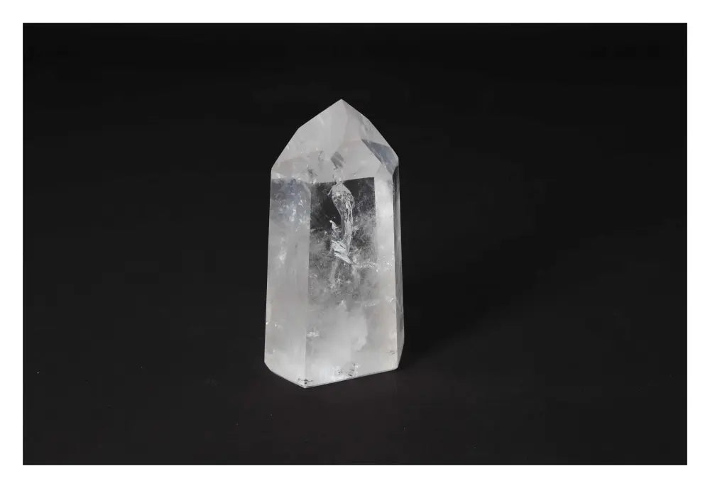 orbitvu|type:image2d