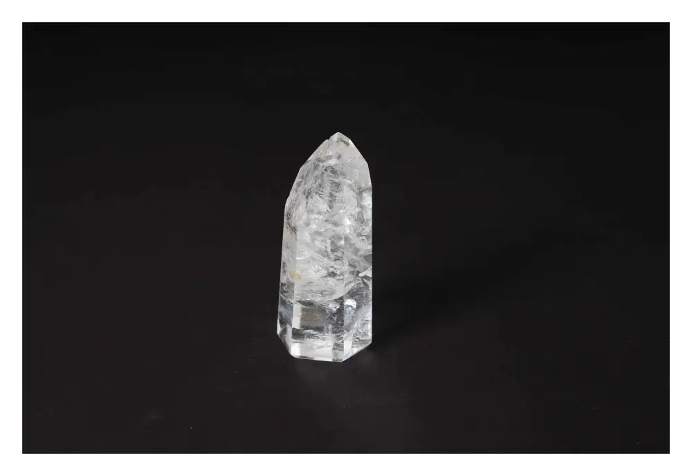 orbitvu|type:image2d