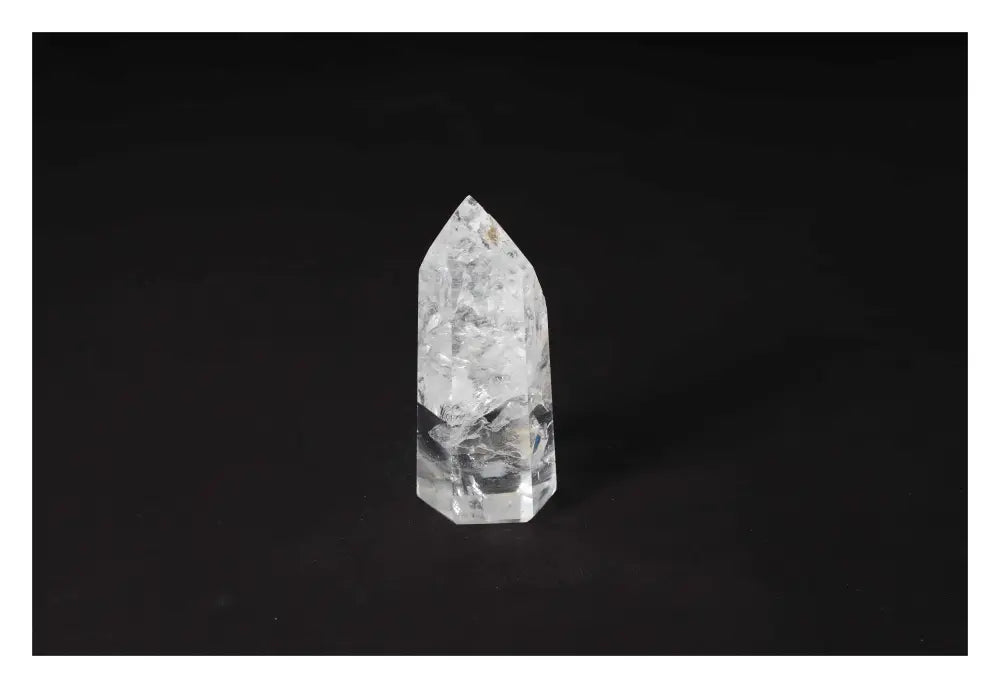 orbitvu|type:image2d