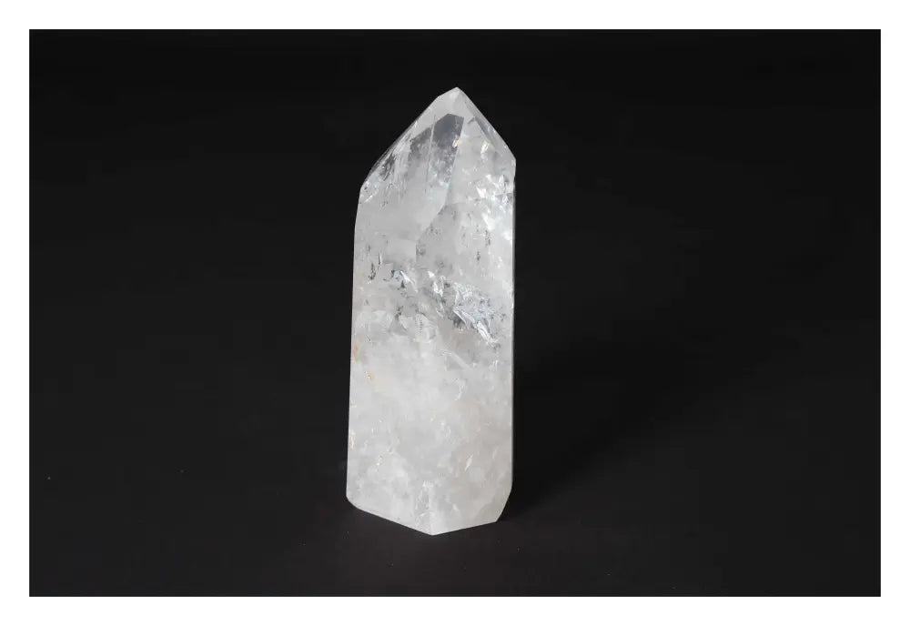 orbitvu|type:image2d