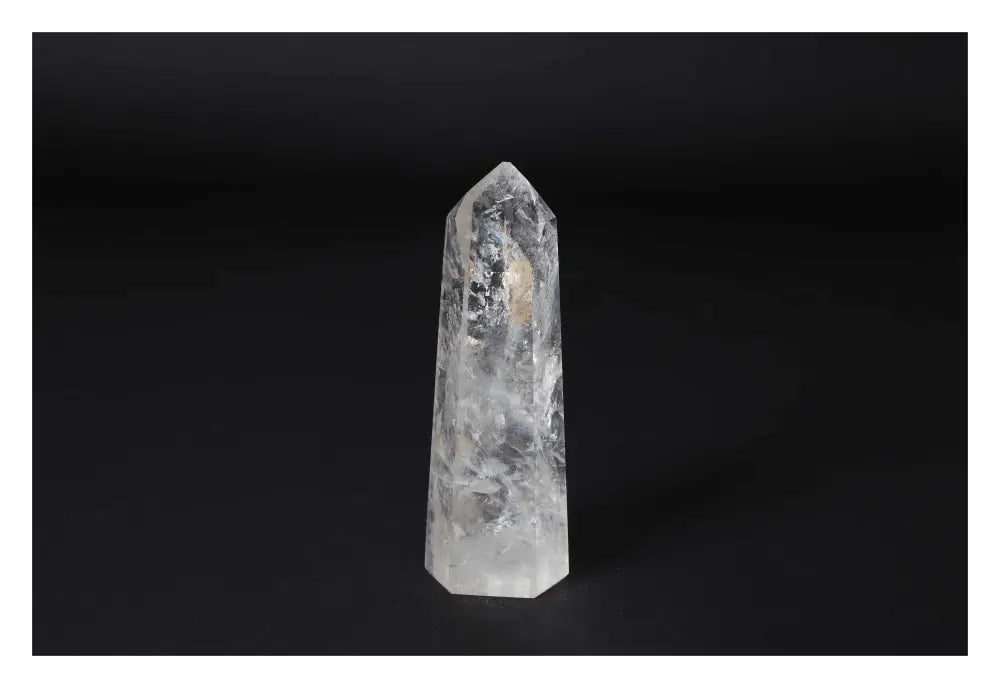 orbitvu|type:image2d