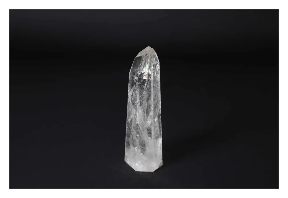 orbitvu|type:image2d